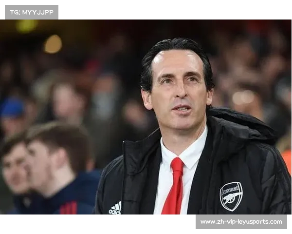 埃梅里执教阿斯顿维拉之路:重塑球队新篇章与挑战 埃梅里执教阿斯顿维拉之路:重塑球队新篇章与挑战