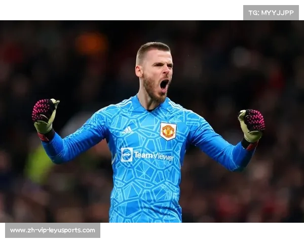 德赫亚因薪资和技术问题今夏或将离开曼联 德赫亚因薪资和技术问题今夏或将离开曼联